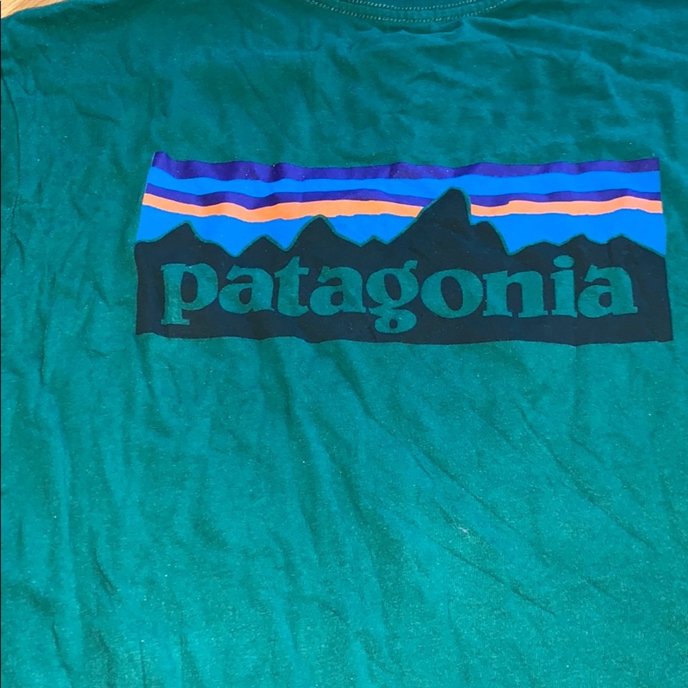 Mens Patagonia love sleeve shirt